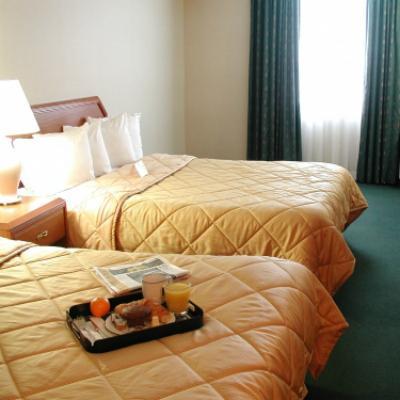 Comfort Airport North Hotel