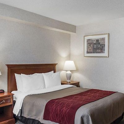 Comfort Airport North Hotel Toronto